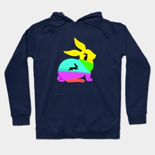 Colorful rabbit Hoodie